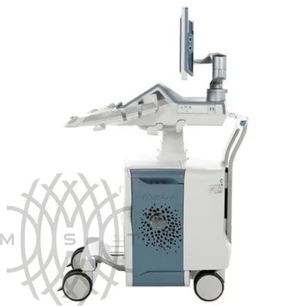 Ультразвуковая диагностическая система GE Voluson E10