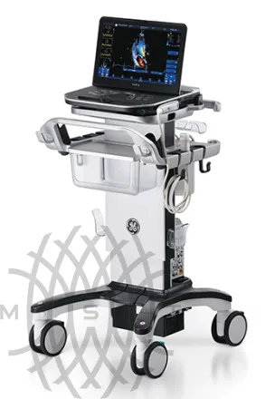 Ультразвуковая диагностическая система GE HealthCare Vivid iQ портативная