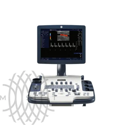 Ультразвуковая диагностическая система GE Logiq V5