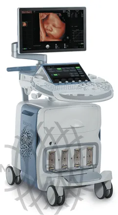 Ультразвуковая диагностическая система GE Voluson E10